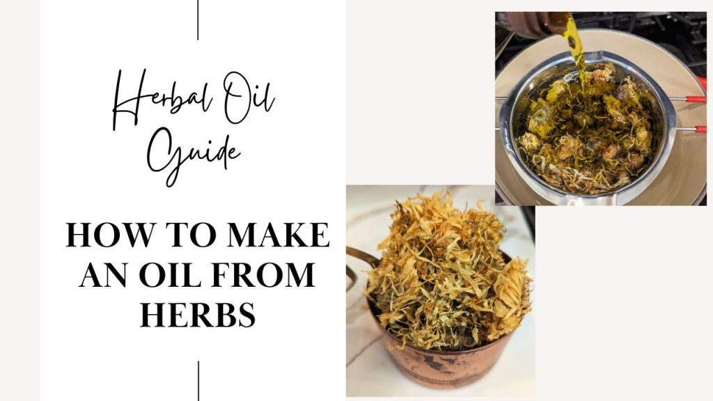 herbal oil dried calendula in oil