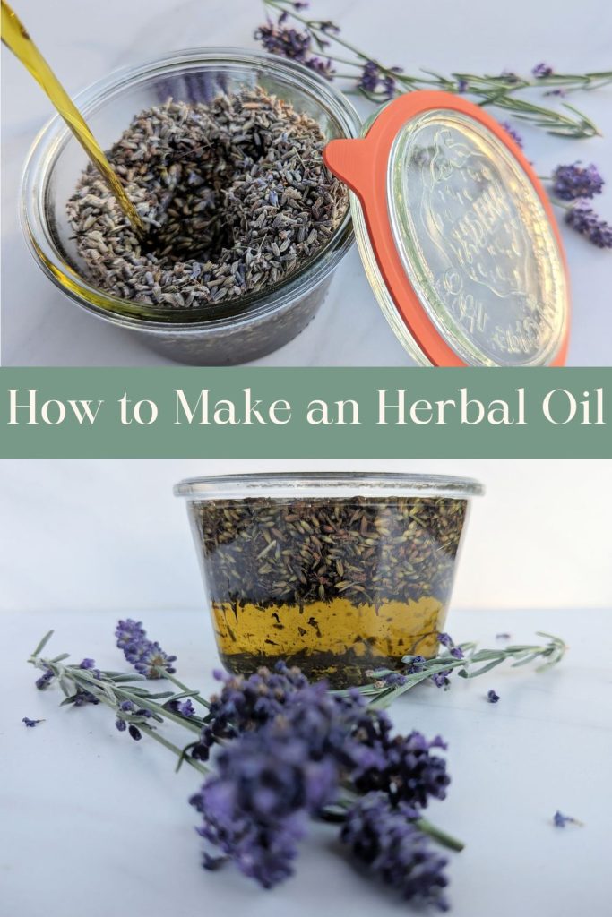 how to make an herbal oil dried lavender flowers in oil in glass jars