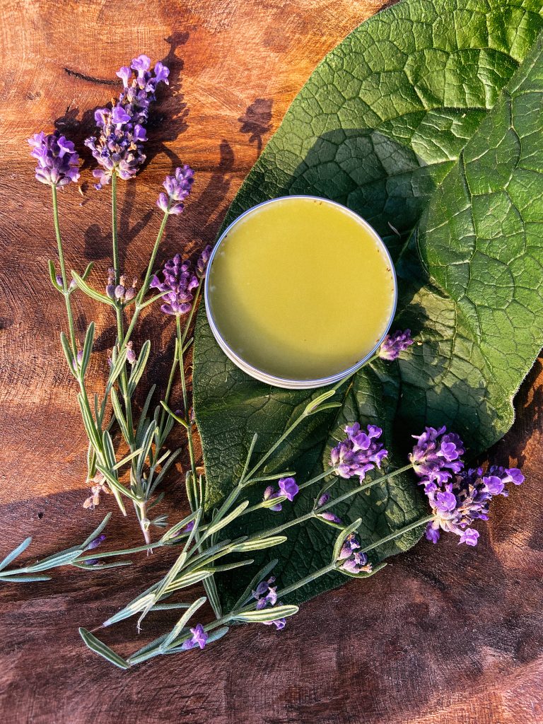 herbal salve with comfrey leaf and lavender flowers