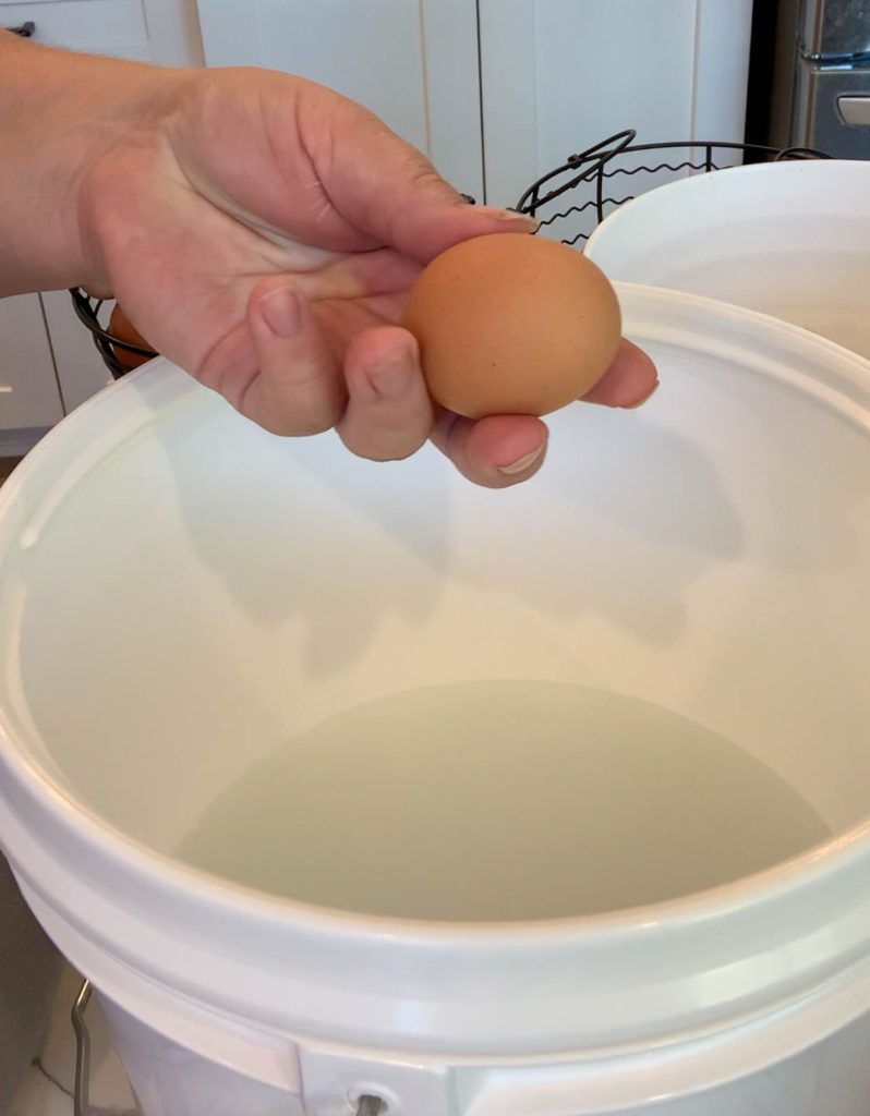 clean egg in hand