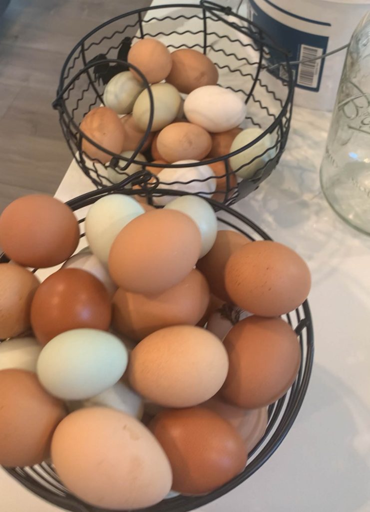 farm fresh unwashed eggs