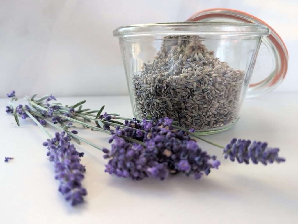 Lavender flower and herb with glass jar