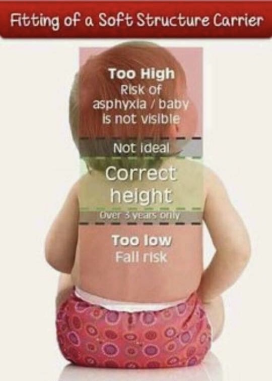 safety for baby wearing chart
