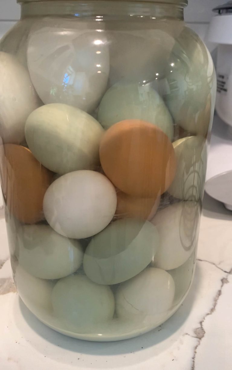 water glassed eggs in glass jar
