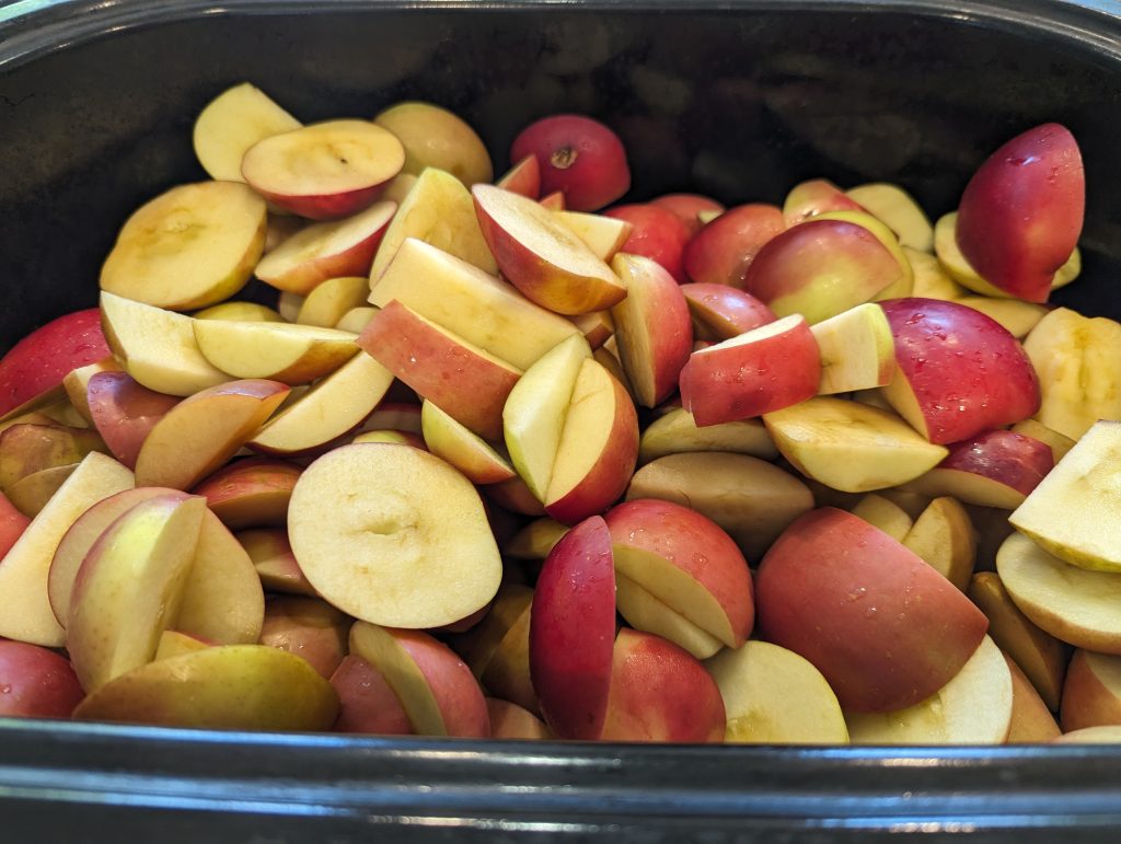 cut up apples in a roaster oven
