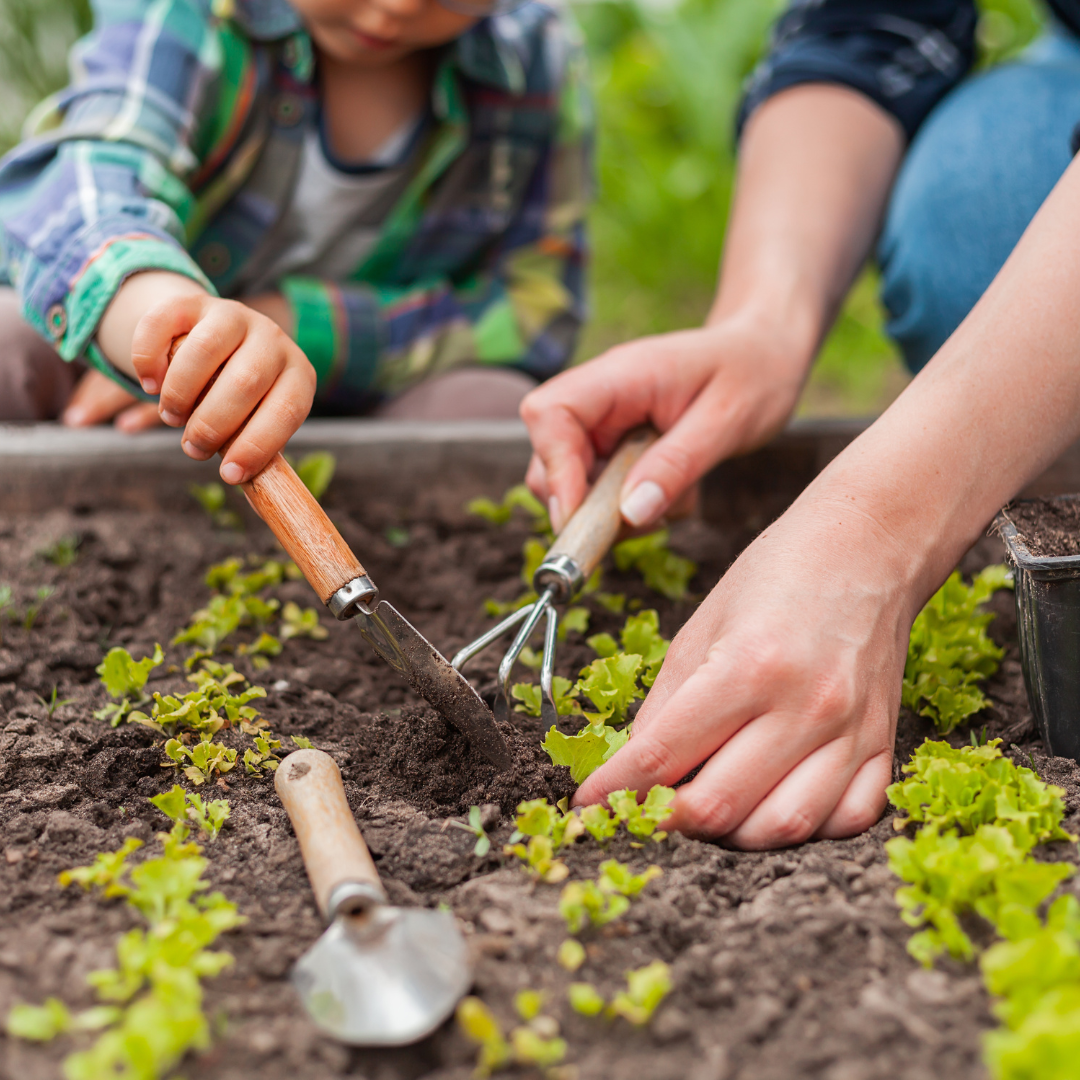 Busy Mom Gardening: Tips & How to Guide Garden with Kids