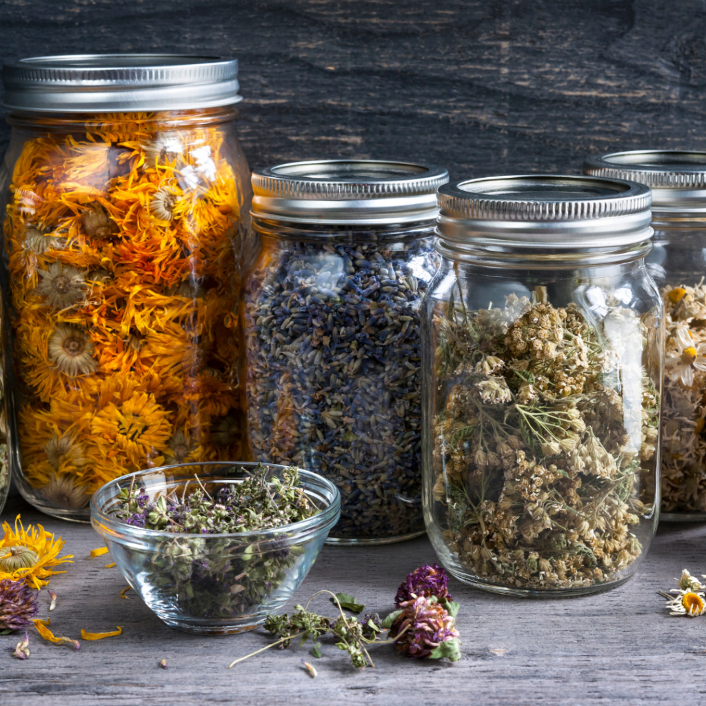 herbs in mason jars