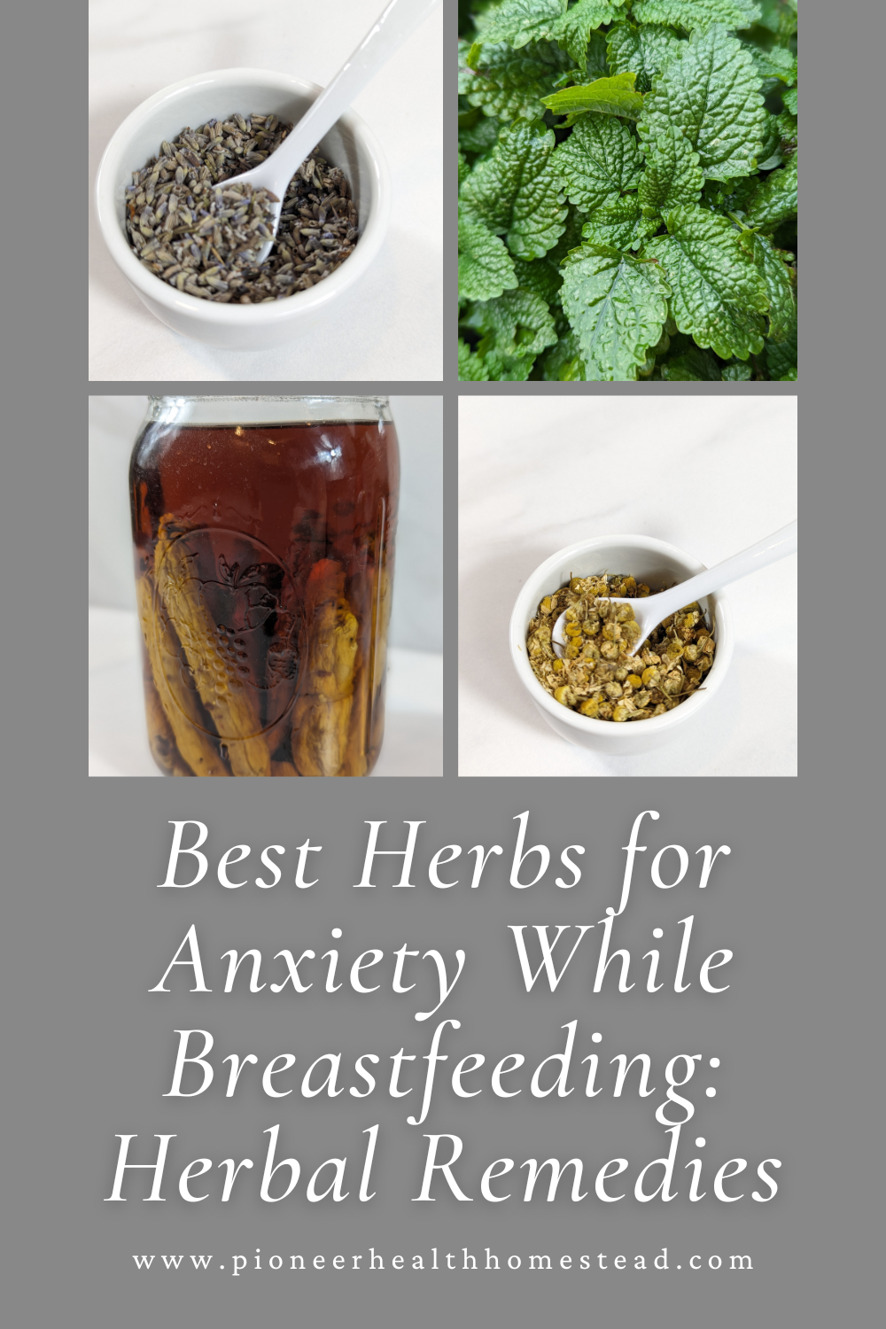 Best Herbs for Anxiety While Breastfeeding Herbal Remedies Pioneer