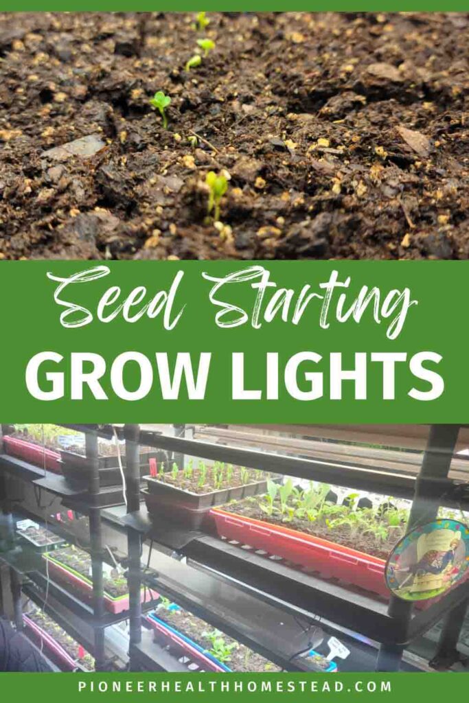 soil with seedlings and diy grow lights with seddlings in trays