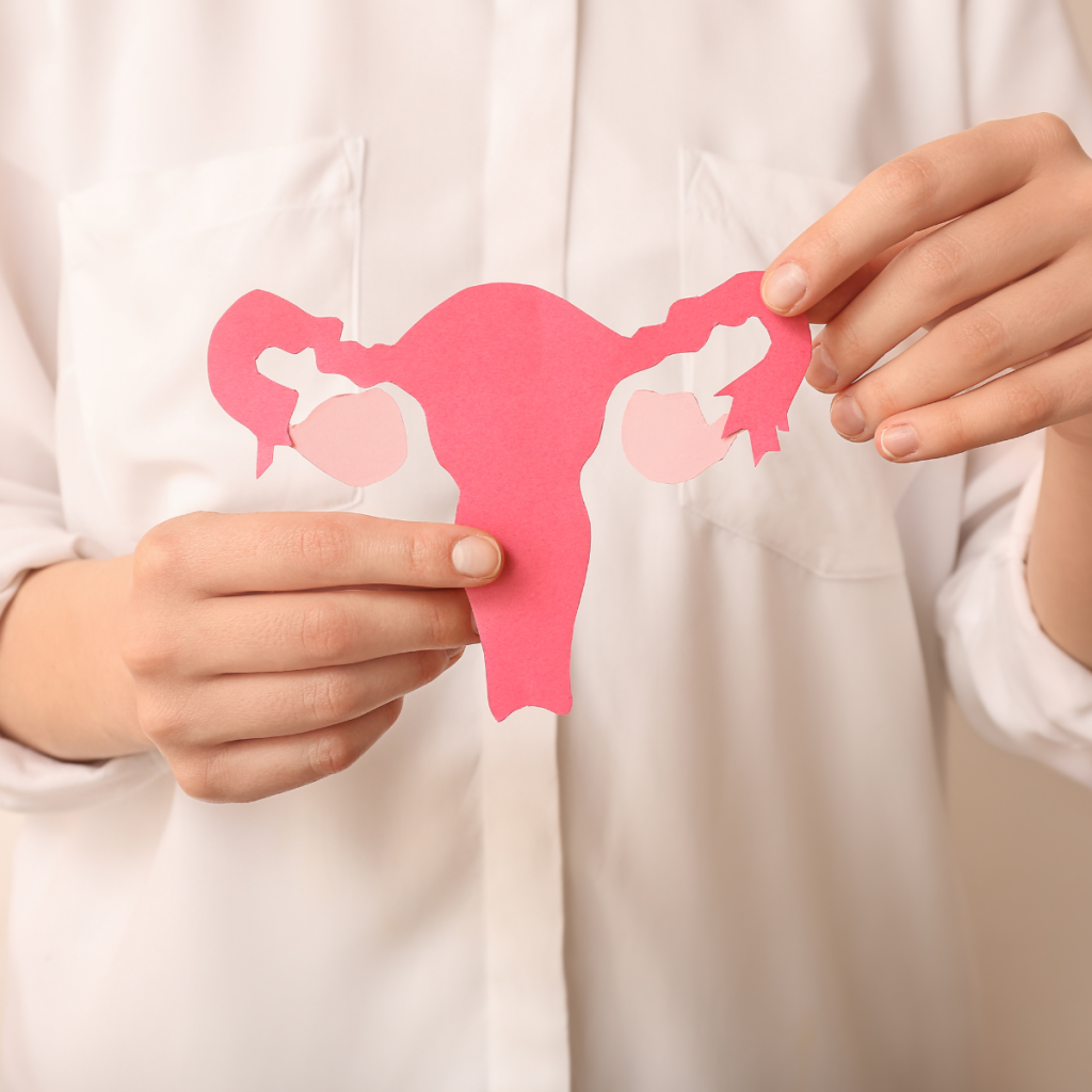 pink uterus