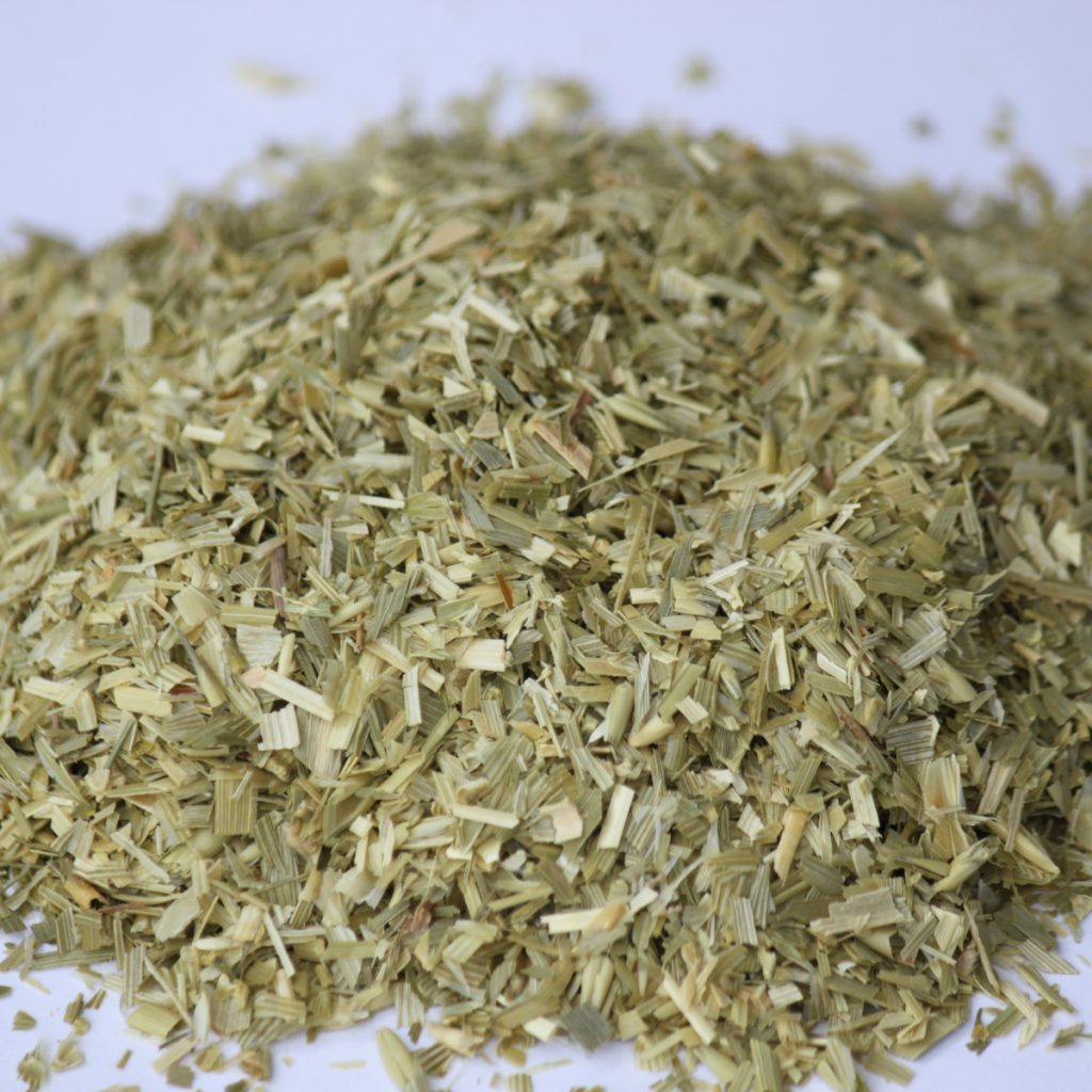oatstraw herb
