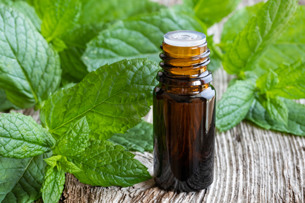 peppermint essential oil