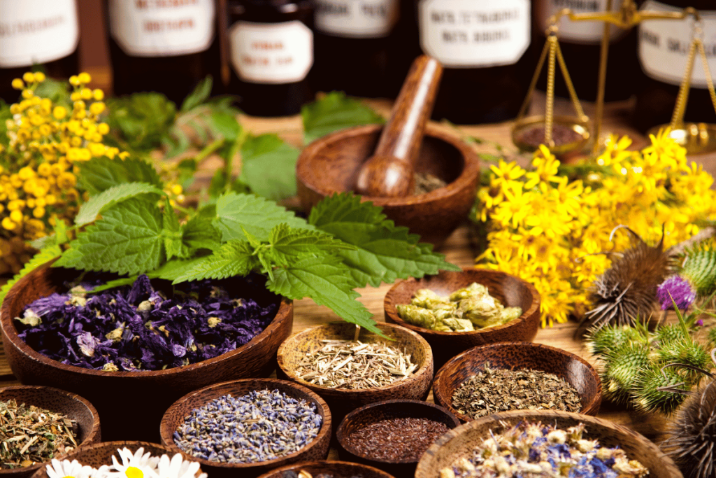 herbs and herbal remedies