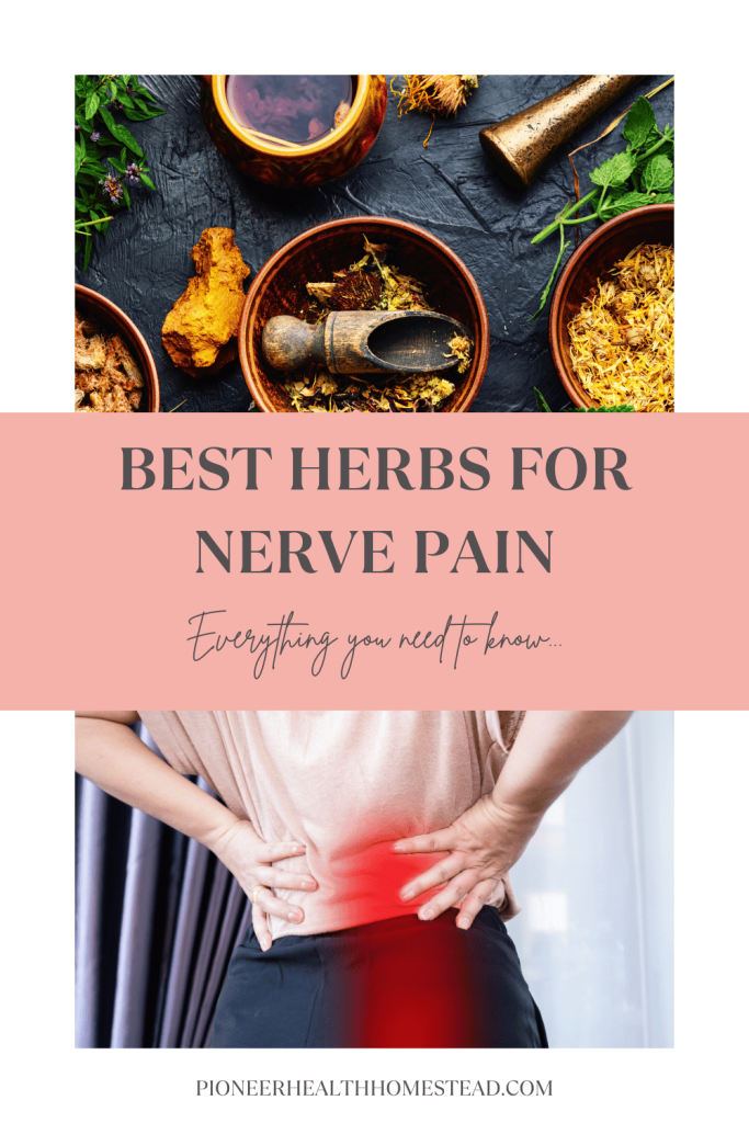 Best Herbs for Nerve Pain pin