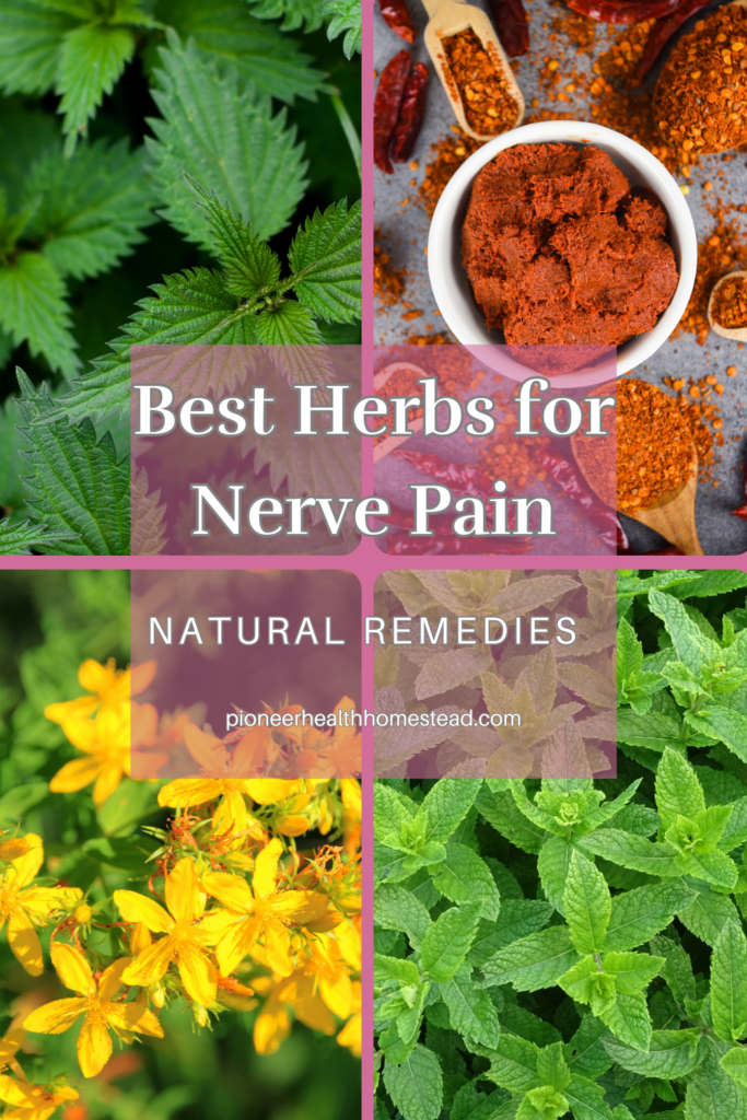 Best Herbs for Nerve Pain natural remedies pinterest pin 5