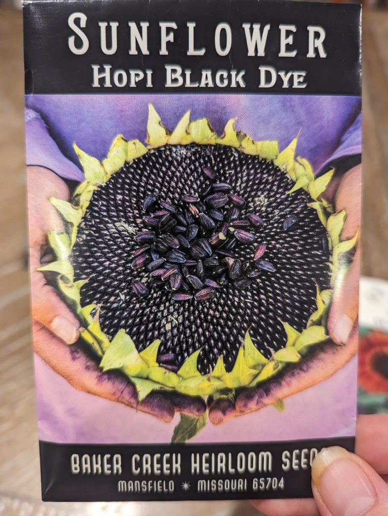 sunflower seed packet with hopi black dye variety from baker creek seed company. 