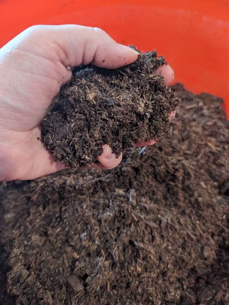 hand holding wet soil in red container