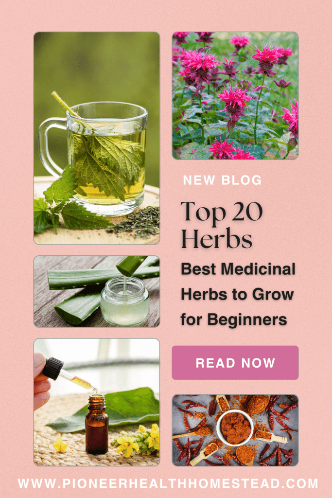 Top 20 Best Medicinal Herbs to Grow for Beginners pin 1