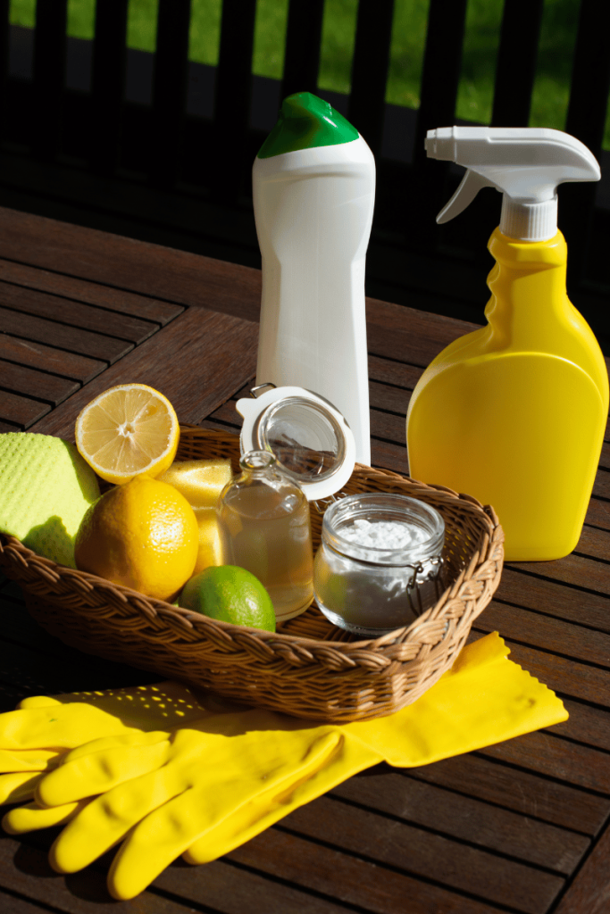 organic natural living cleaning products