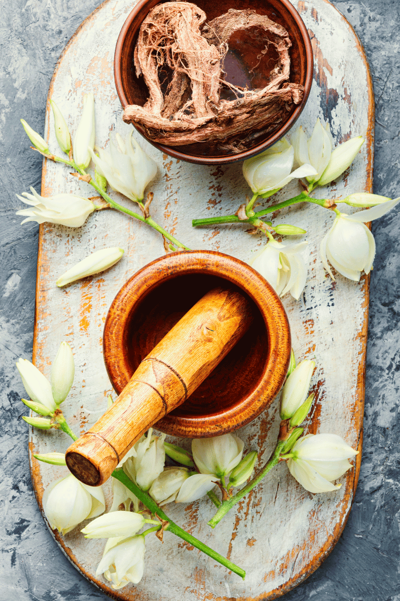 Best Herbs for Nerve Pain The Top Natural & Effective Remedies