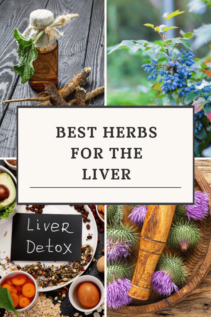 Best herbs for the liver