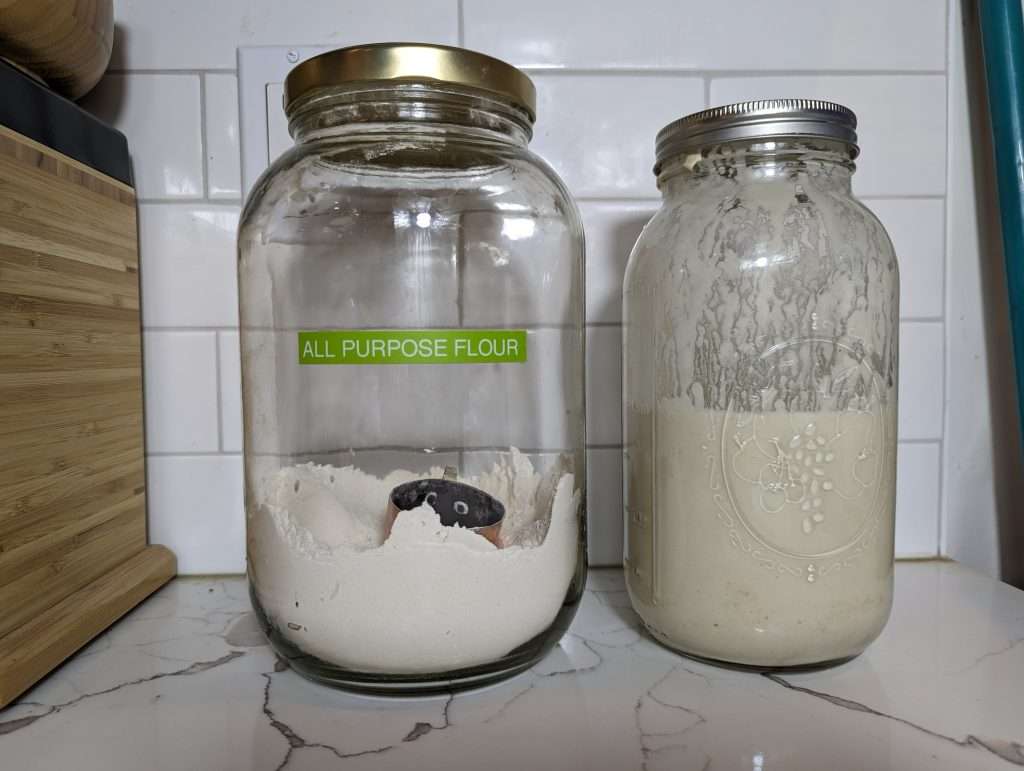 all purpose flour and sourdough starter in glass jars