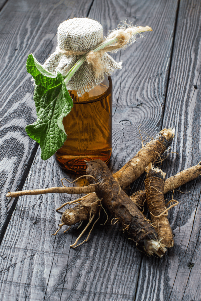 burdock root and tincture