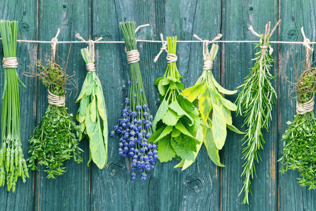 herbs hanging from twine against wood backdrop