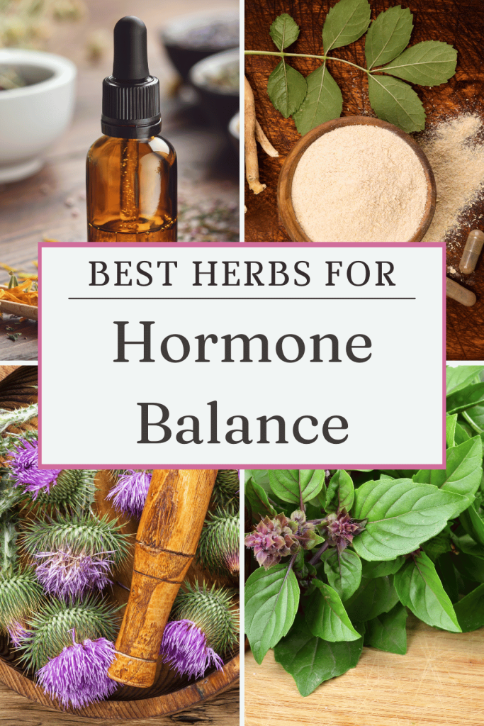 best herbs for hormone balance pinterest pin with herbs and tincture bottle