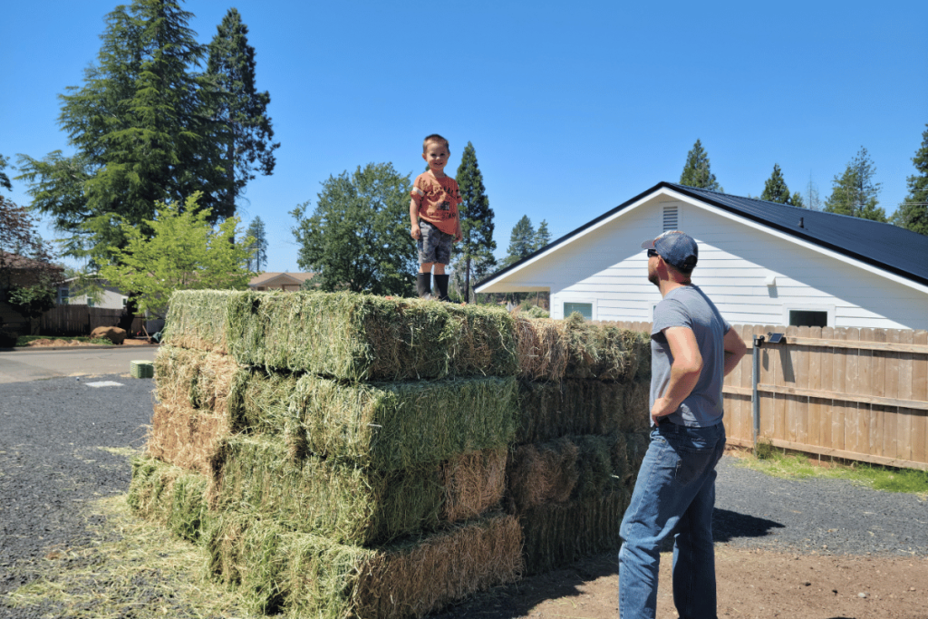 boy on top of pile of orchard grass hay