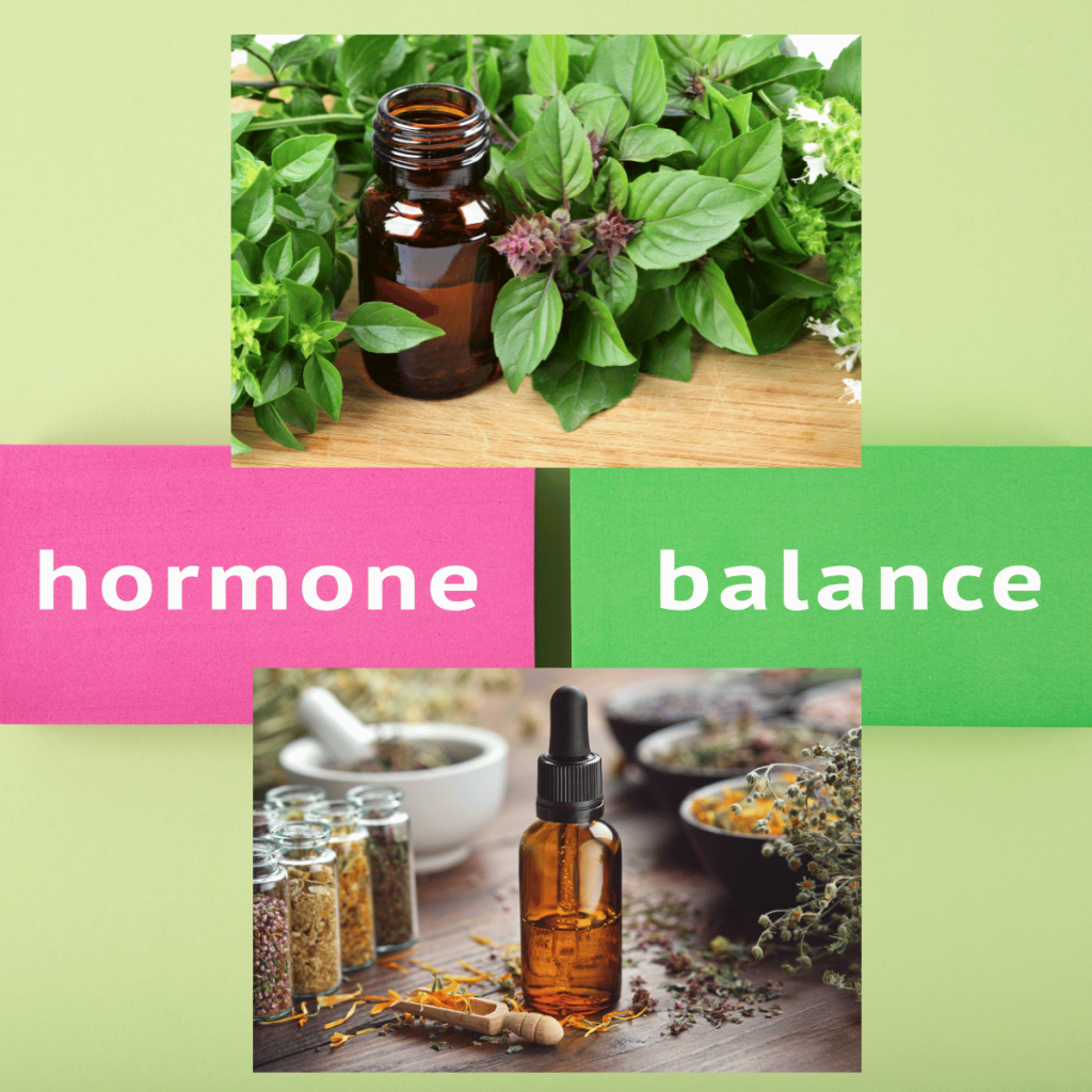hormone balance with tincture and holy basil tulsi
