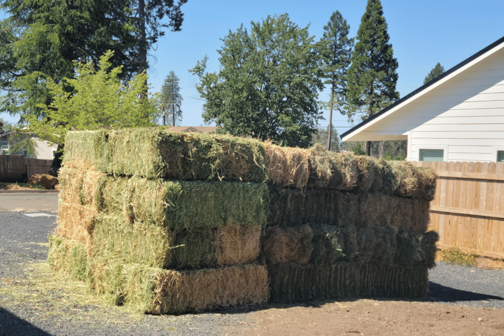 pile of orchard and alfalfa hay