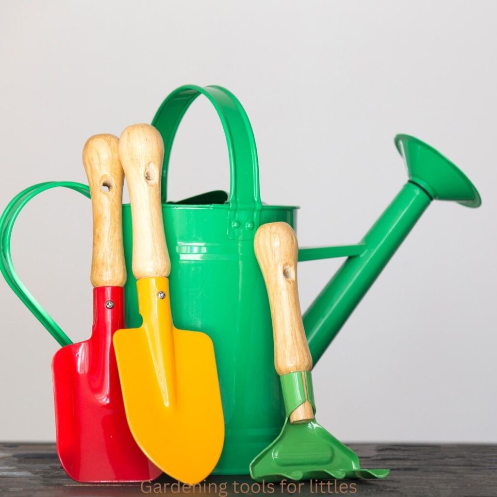 green watering can with green hand rake and two hand trowels shovel red and orange