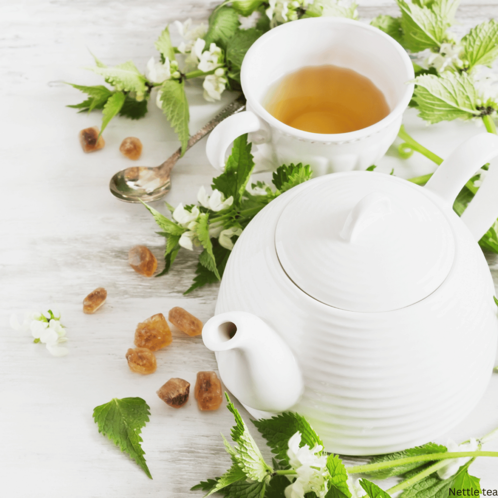nettle tea with herbs. flowers, white tea cup and white tea pot