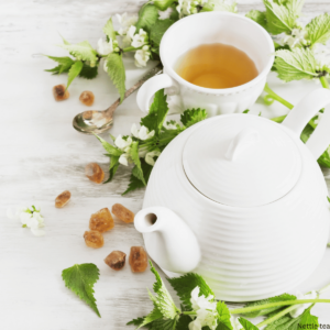 nettle tea leaves and flowers with white tea cup and kettle