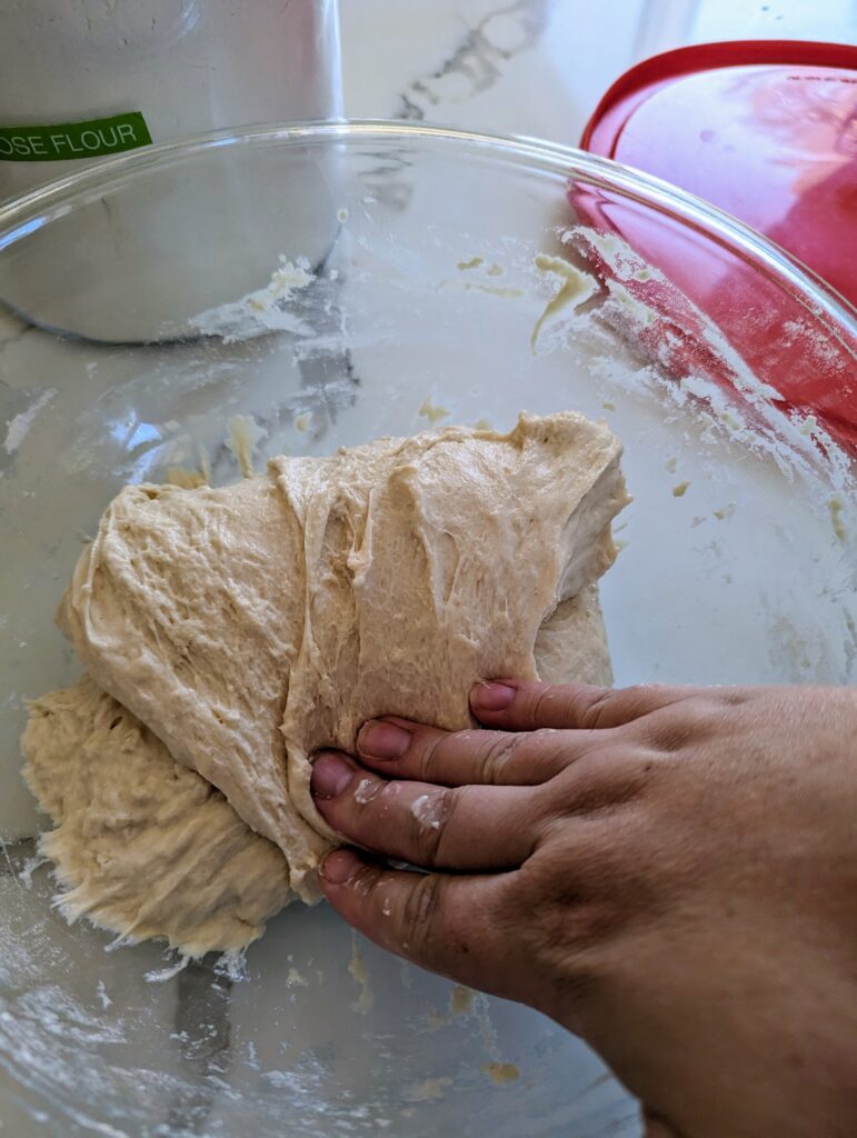 sourdough focaccia garden bread dough stretch and fold