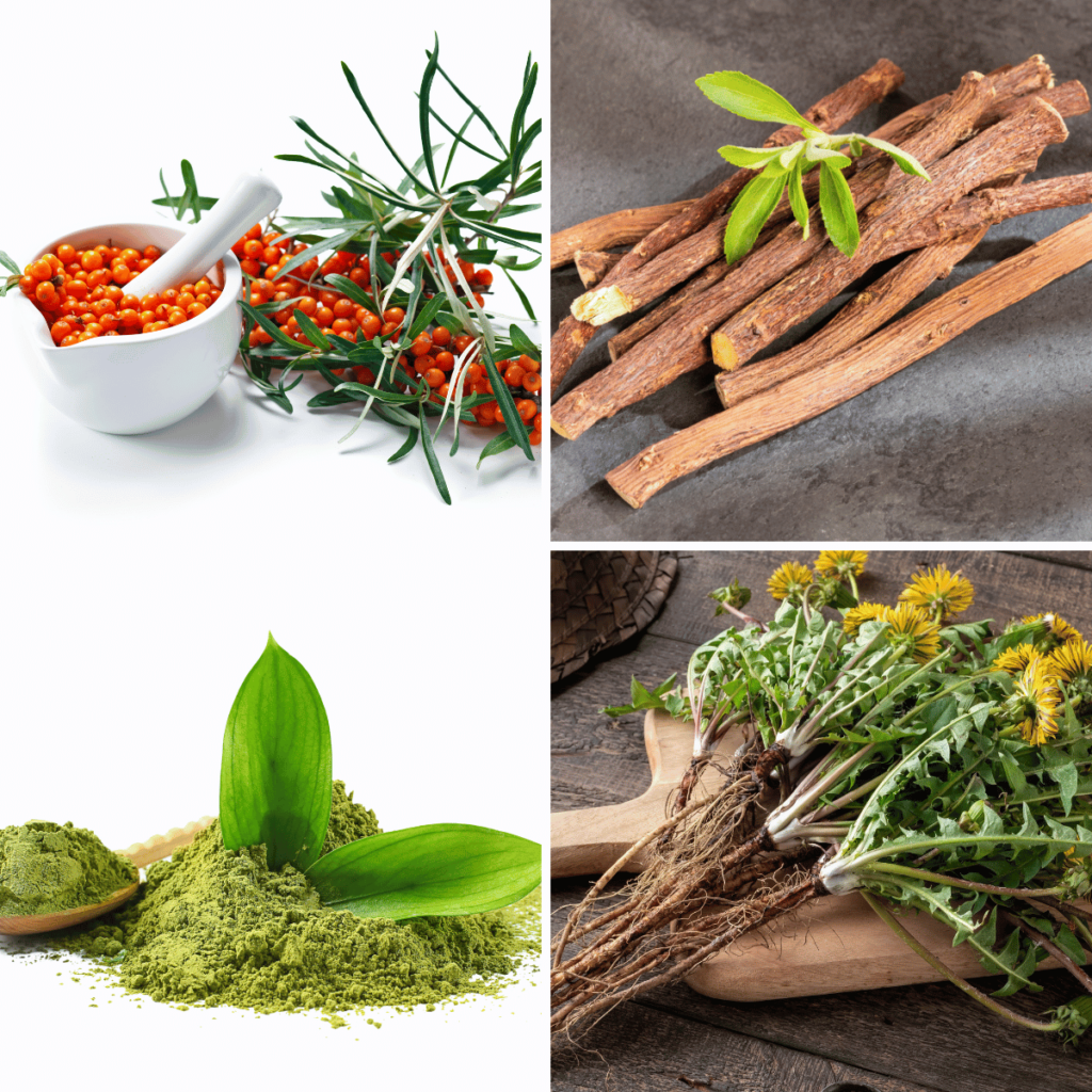 4 best herbs for allergies