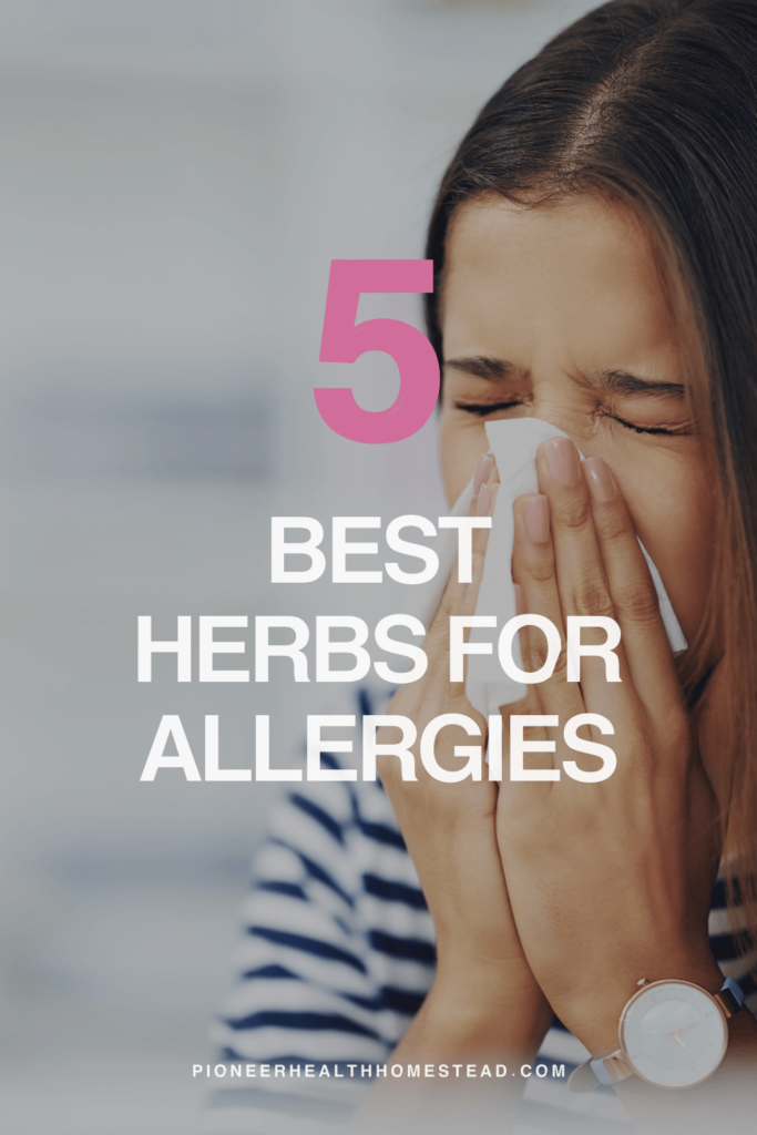 5 best herbs for allergies pinterest pin