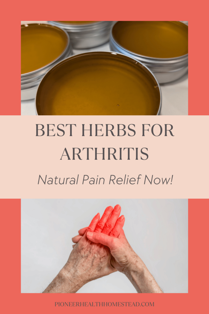 best herbs for arthritis natural pain relief now