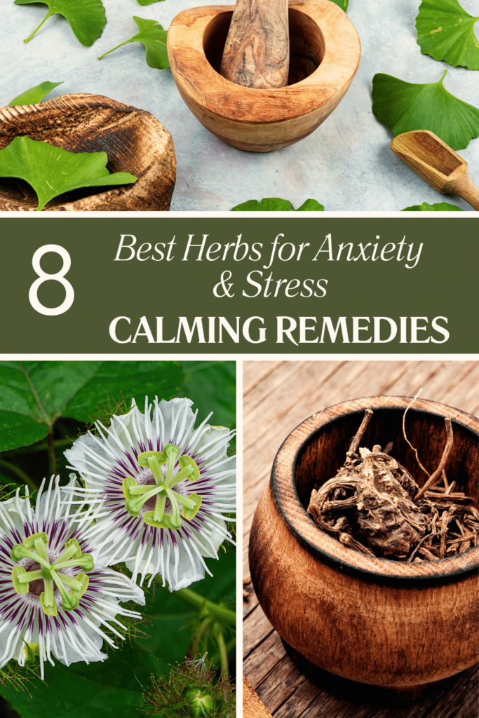 8 best herbs for anxiety and stress calming remedies pinterest pins