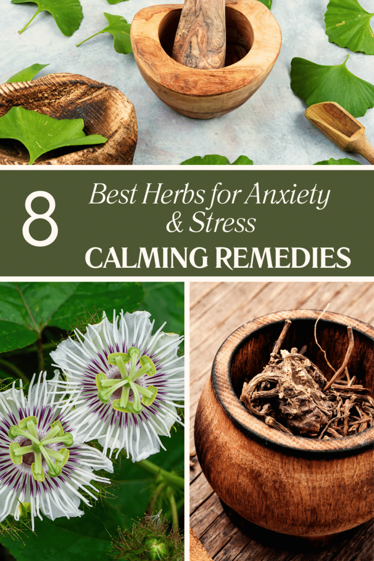 Best Herbs for Anxiety and Stress: Calming Remedies - Pioneer Health ...