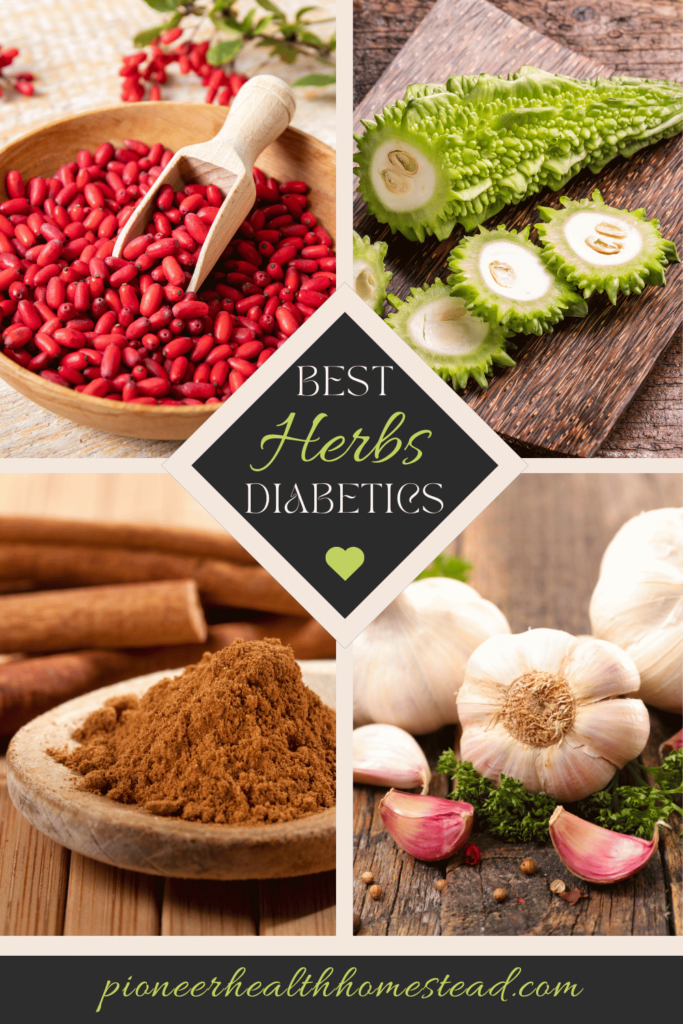 best herbs for diabetics barberry bitter melon cinnamon garlic pinterest pin