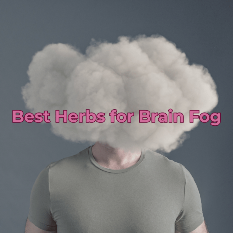 best herbs for brain fog