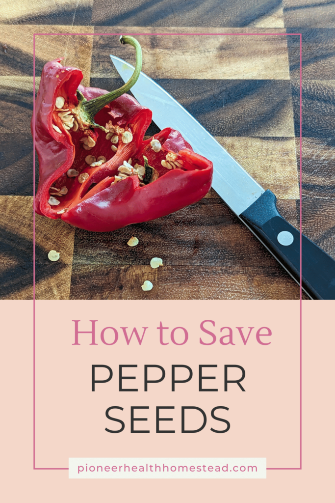 How to Save pepper seeds pinterest pin 2