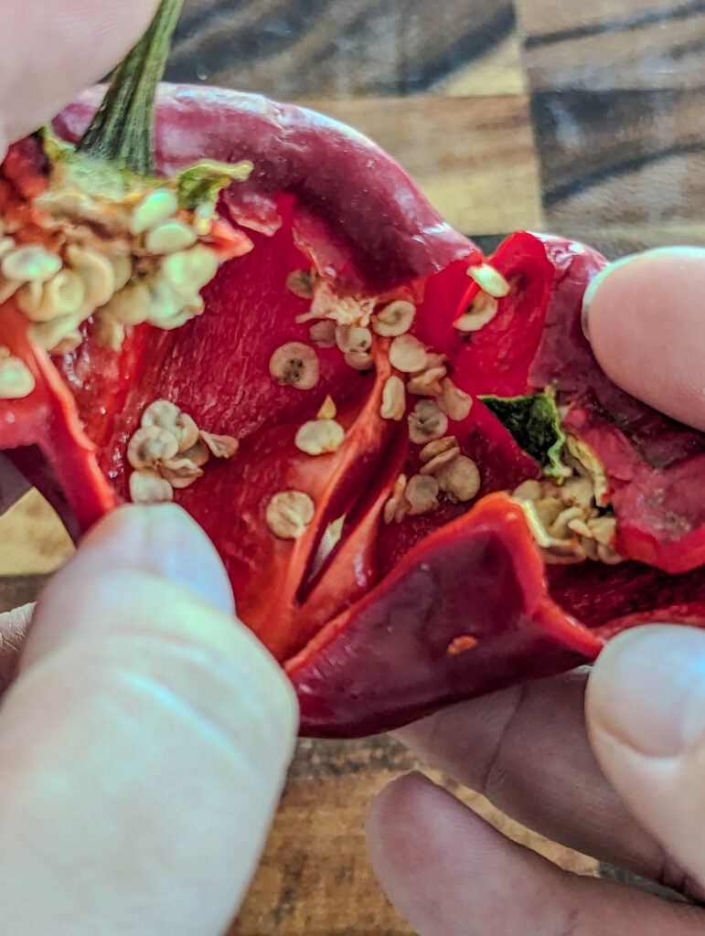 cut open pepper with seeds showing