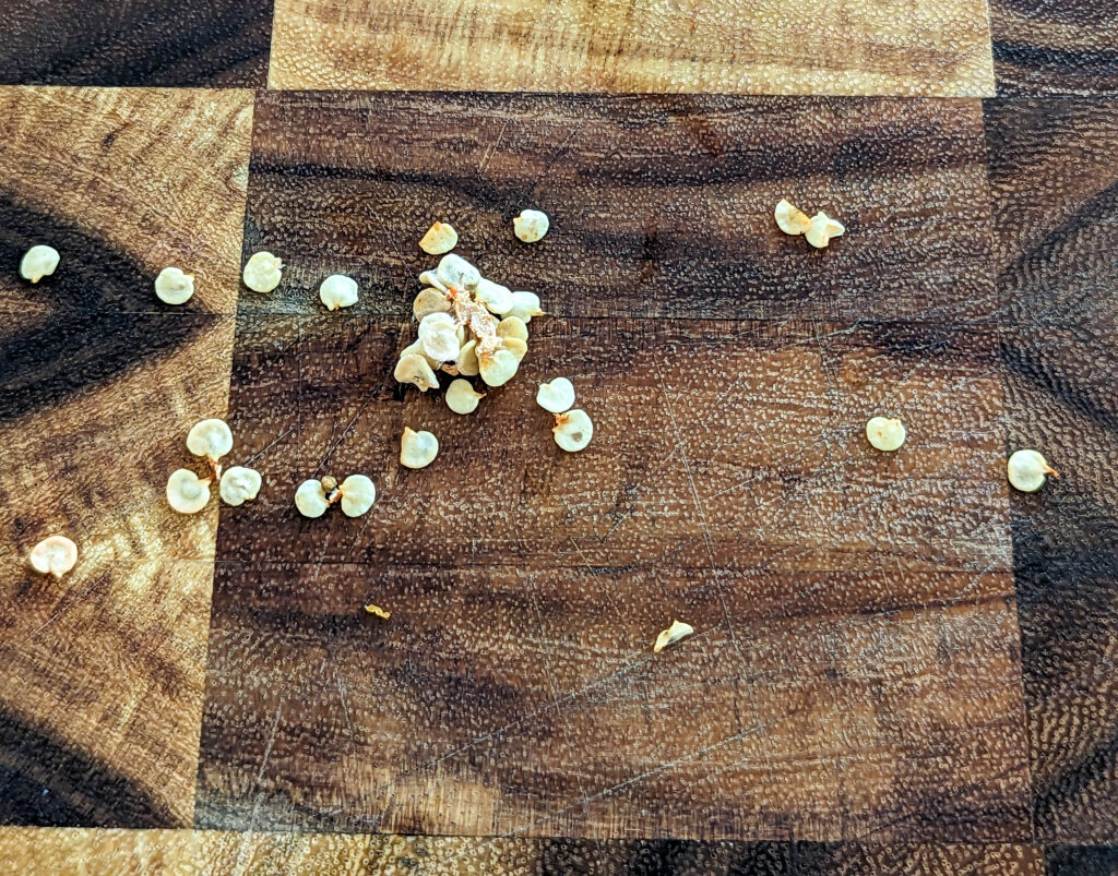 seeds from pepper plant on wood cutting board