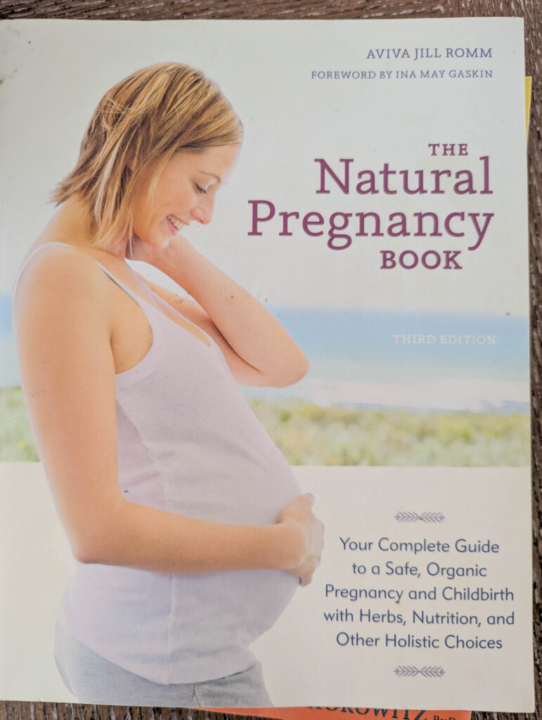 the natural pregnancy book