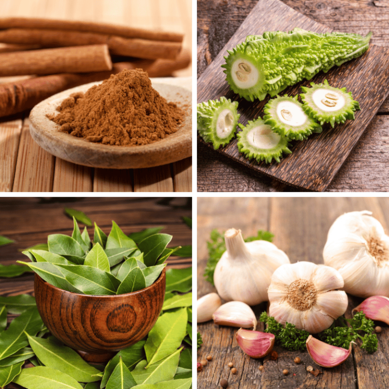 Best Herbs for Diabetics: Top Natural Remedies to Help