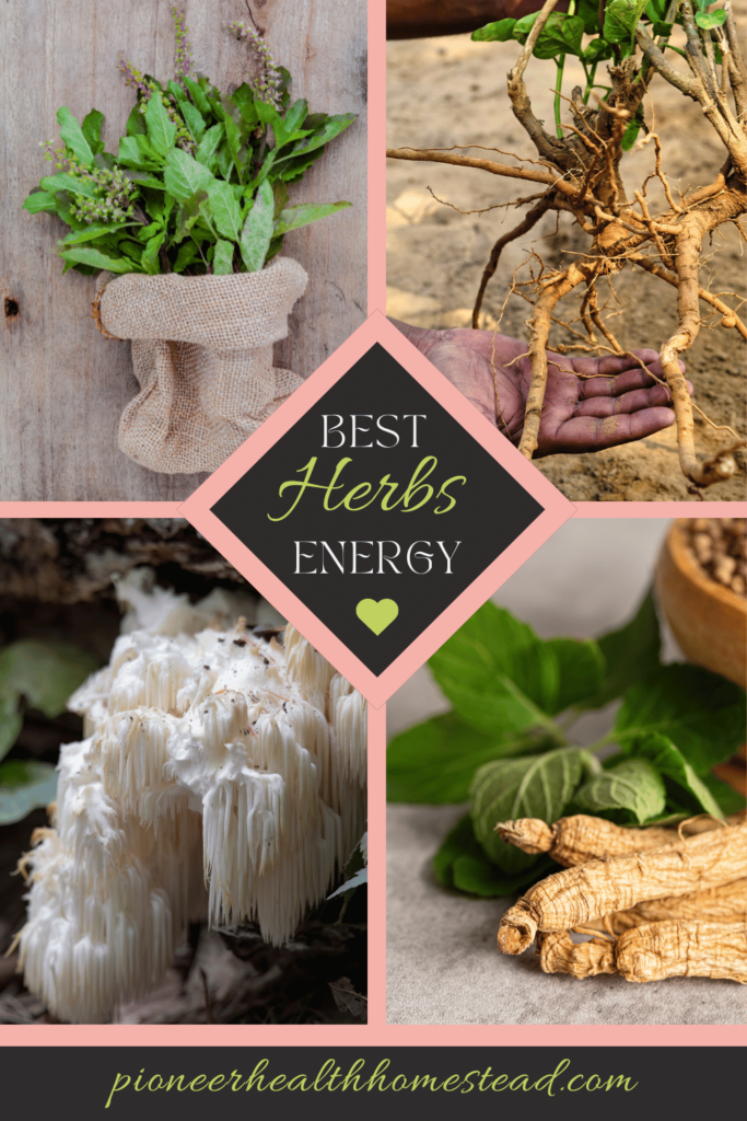 best herbs for energy pinterest pin ashwagandha lions mane mushroom ginseng holy basil