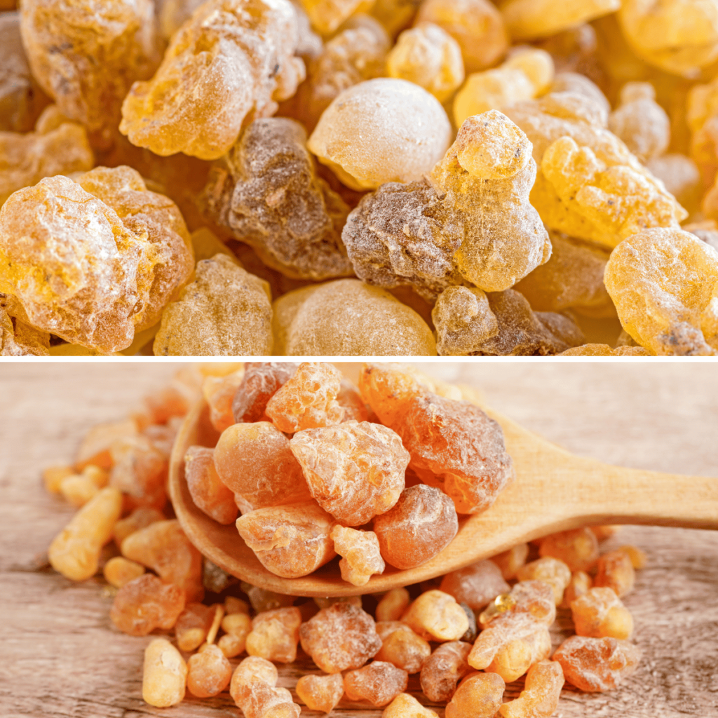 Boswellia Serrata (Frankincense)